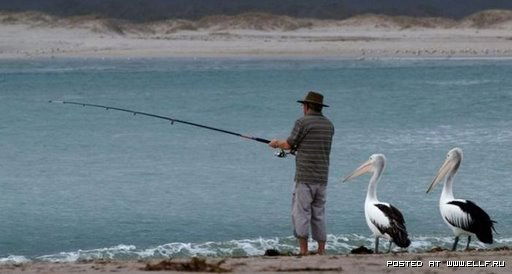 Александр Рудько