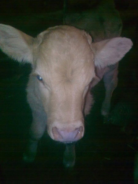 Степан Смирнов