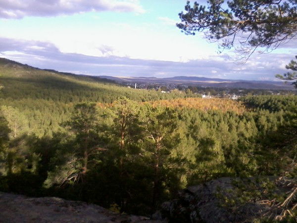 Ольга Полищук