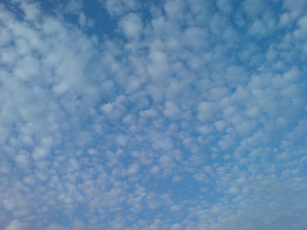 Валерий Шумкин