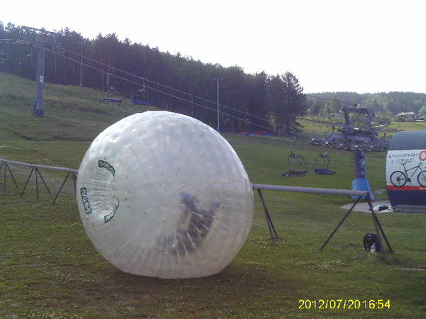 Вячеслав Гасинец