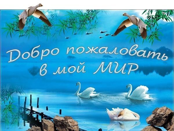 Виктория Лоос