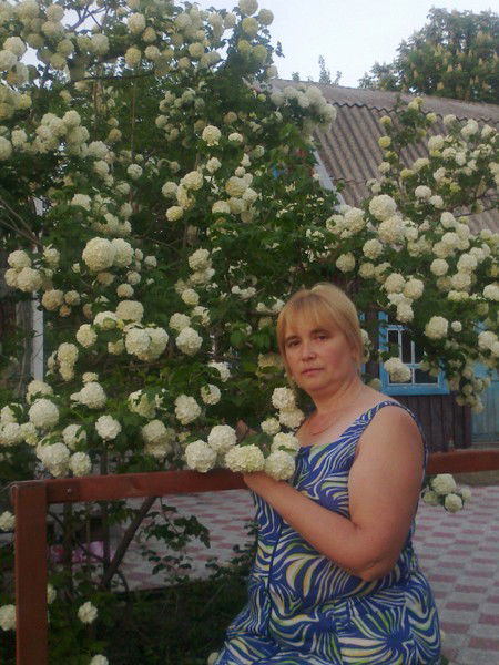 Елена Шутова