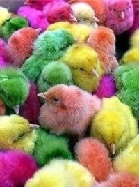 Гаухар Касымбекова