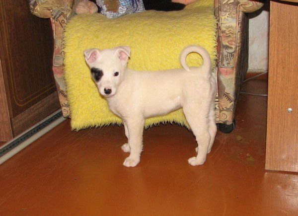 Матусевич Даниэль