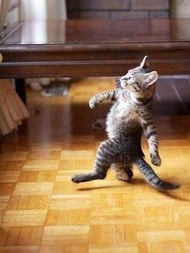 Андрей Беленький