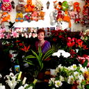 Светлана Эпп