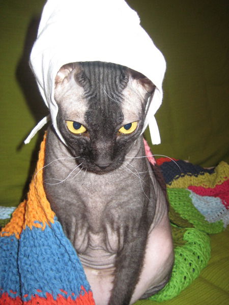 Натали Коркмаз