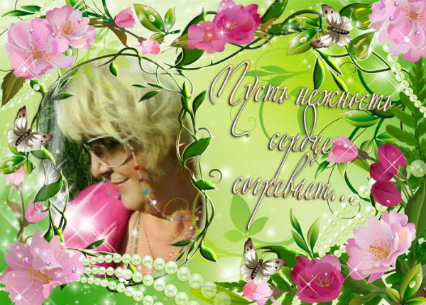 Нэлли Шейдина