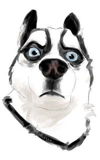 Вадим Зайнуллин