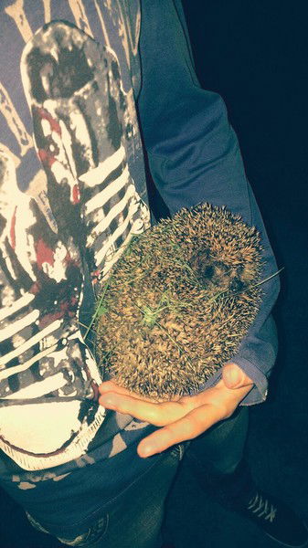 Тоха Цапенков