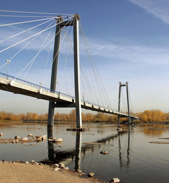 Елена Кошелева