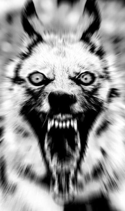 Сергей Щедрин