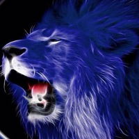 Дмитрий Ладоня