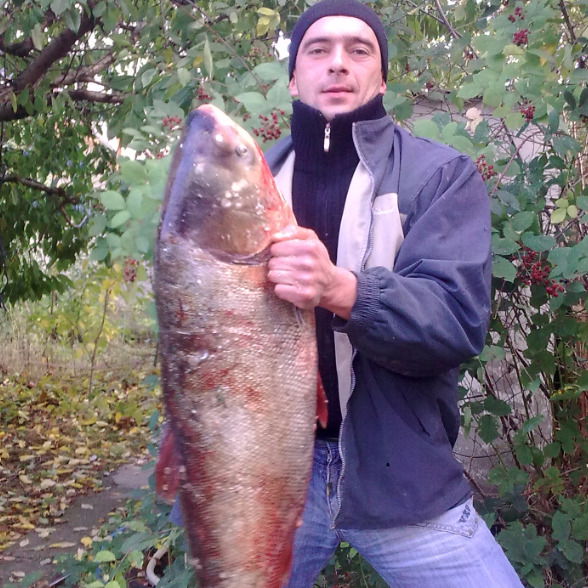 Эльдар Асанов