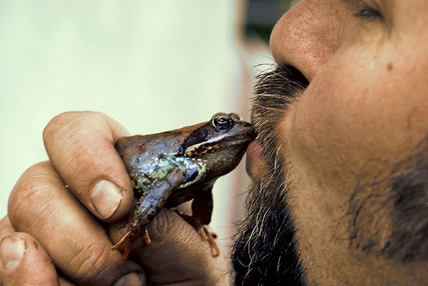 Олег Гуцалюк