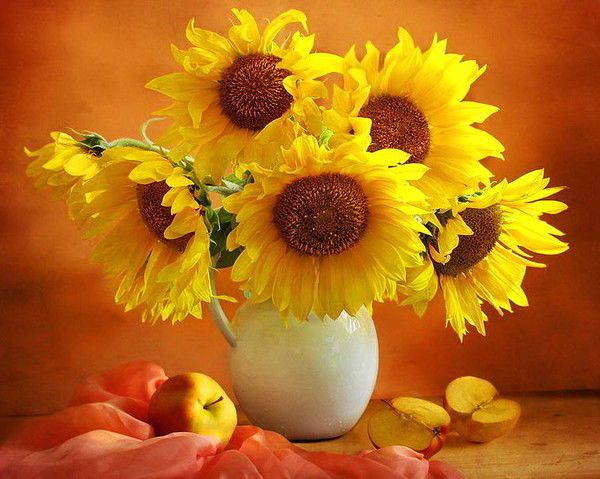 Светлана Дорошенко