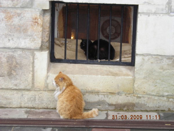 Марат Гилязетдинов