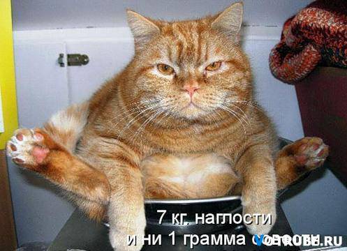 Юрий Дроздов