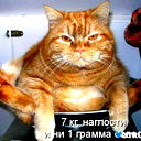 Юрий Дроздов