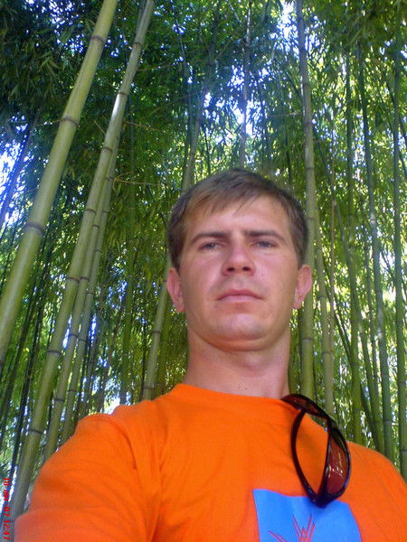 Тимофей Шашкин