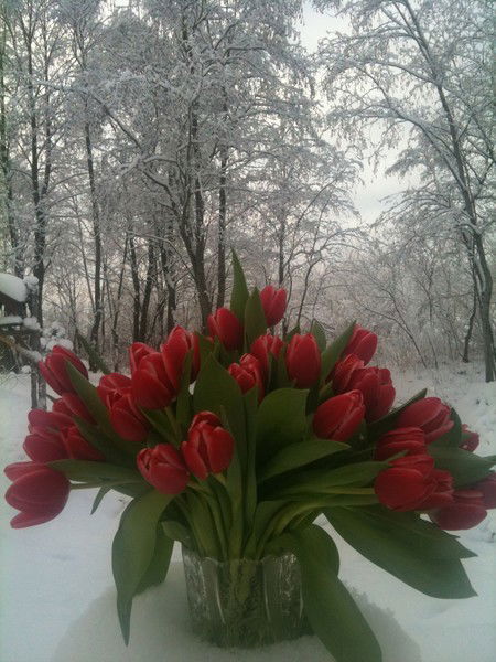 Лариса Платонова