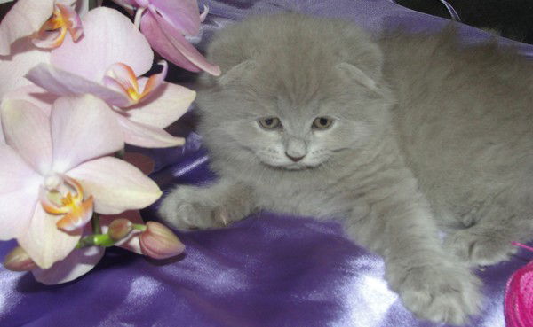 Юлия Черникова