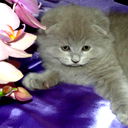 Юлия Черникова