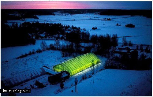 Дмитрий Малков