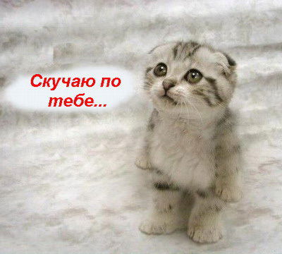 Татьяна Компаниец