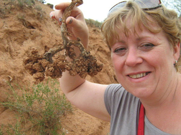Елена Тарута
