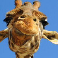 Жанна Лучникова