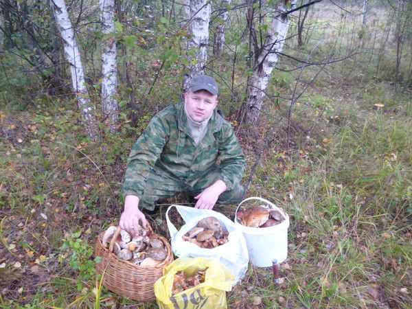 Кирилл Ермилов