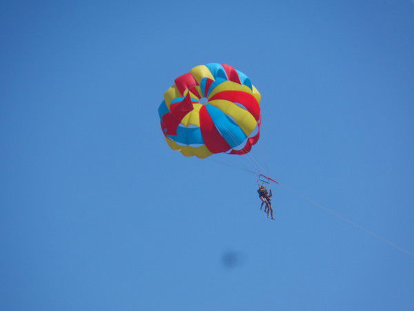 Елена Черевко