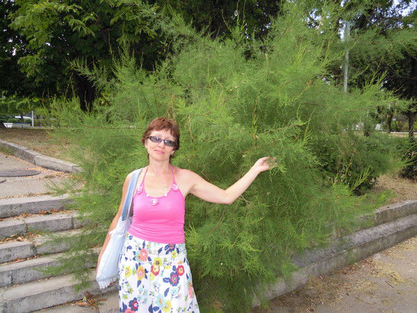 Елена Сотникова