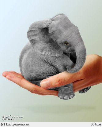 Олеся Куликова