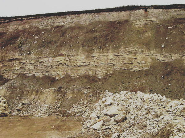 Егошина Елена