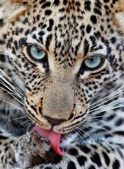 Алена Катюшкина