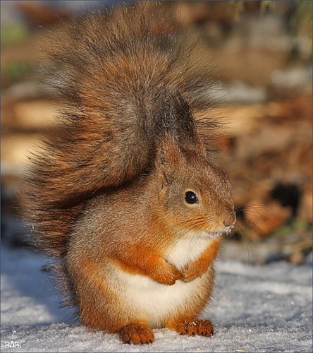 Филиал Мгуту В Г. Конаково