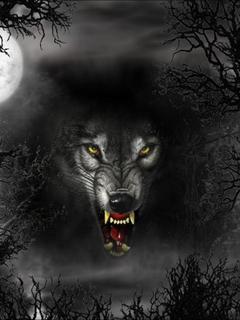 Артем Новокрещенов