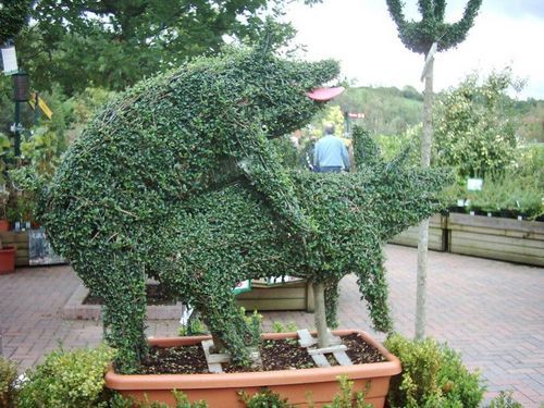 Дмитрий Илюхин