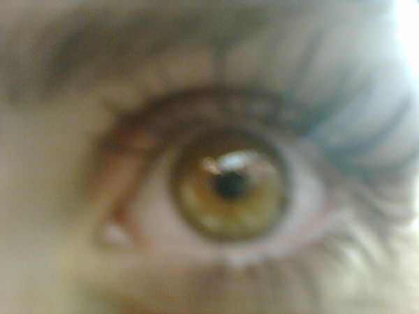 Яна Чернецова