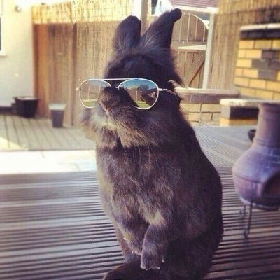 Иван Весельский