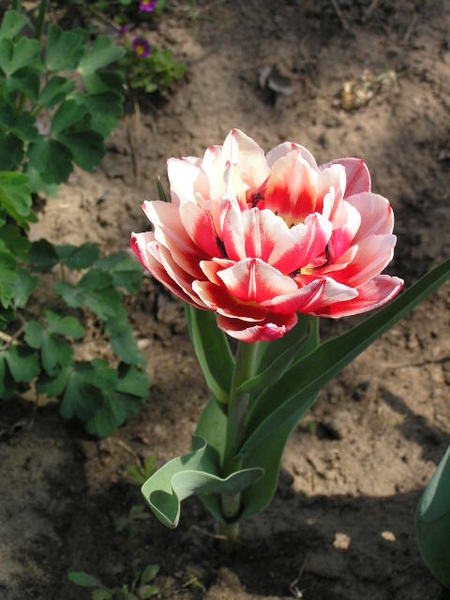 Оксана Чернышева