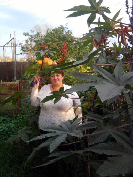 Алена Ковалева