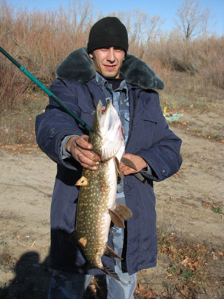 Рафис И Ирина Сайфуллины