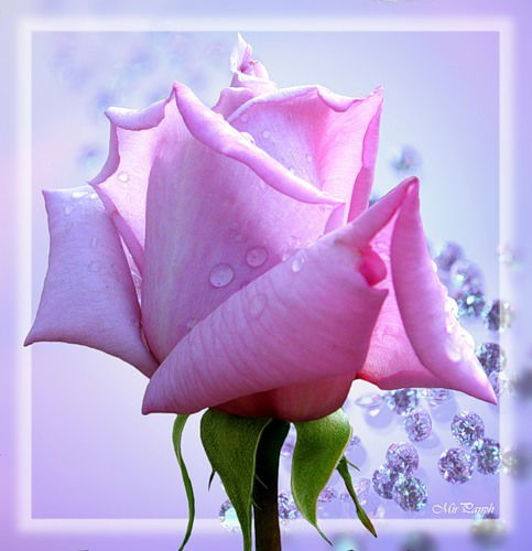 Ирима Васильева