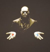 Миша Поляков