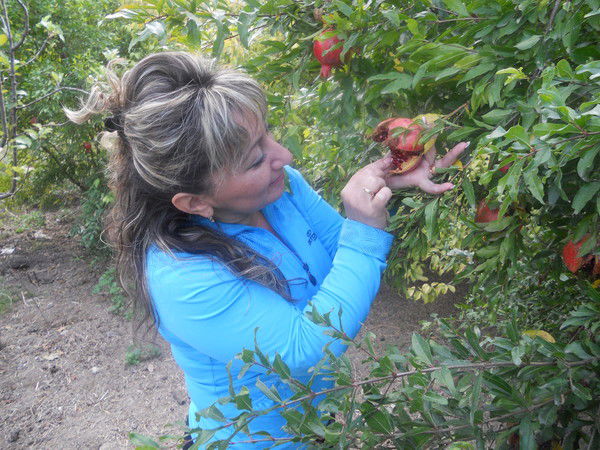 Зарине Даниелян