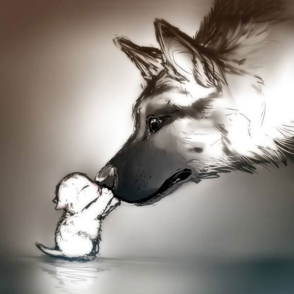 Juppi 3 Лукина